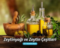 Zeytinyağı Zeytin Çeşitleri